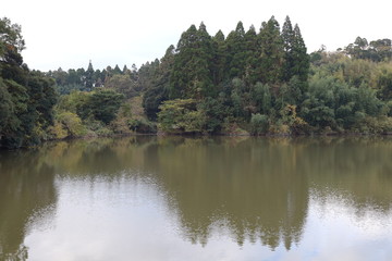 Obraz premium 野池