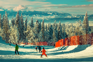 Skiers exercising skiing downhill in Poiana Brasov ski resort, Romania