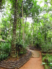 Spice garden close Kandy, Sri Lanka