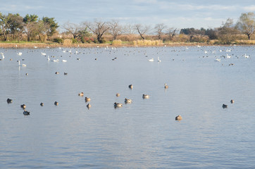 Fototapeta na wymiar Landscape of Lake Hyoko in Niigata prefecture, Japan