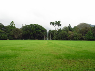 Royal Botanical Gardens, Kandy, Sri Lanka