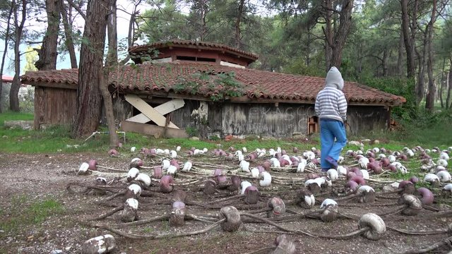 Akyaka, Mugla, Turkey - 10th of November 2019: 4K Child in hood wanders near a forsaken hut in the woods