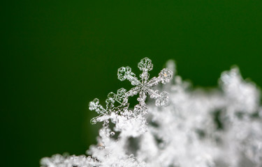 natural snowflakes on snow, winter