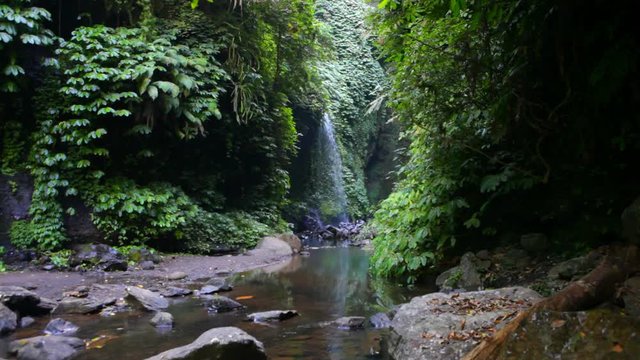 Bali sekumpul waterfall tourist attraction in tropical rain forest