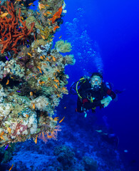 Naklejka na ściany i meble Scuba Diving the Red Sea, Egypt