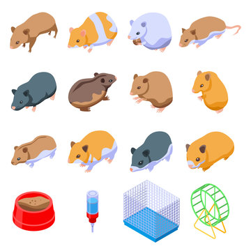 Hamster icons set. Isometric set of hamster vector icons for web design isolated on white background