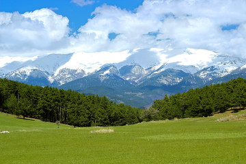 Fototapeta na wymiar Incredible view which has mountain, snow and trees