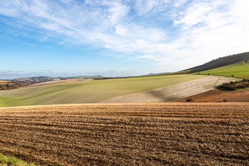 Looking out over farmland in Sussex, on a sunny winters day © lemanieh