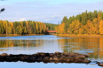Obraz premium landscape with lake and trees
