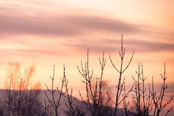 Obraz premium Sunrises and sunsets of Russia