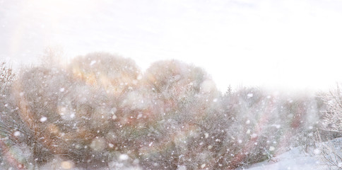 Winter Park. Landscape in snowy weather. January.