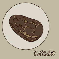 cocoa grain in a circle on a gray isolated background and the inscription cacao