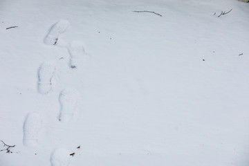 Winter landscape of country fields and roads
