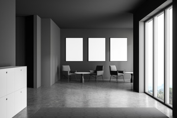 Gray living room with armchairs and posters