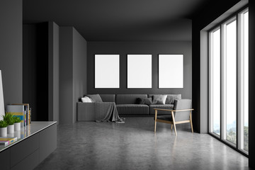 Gray living room with poster gallery