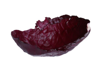 Leaf of red cabbage isolated on white
