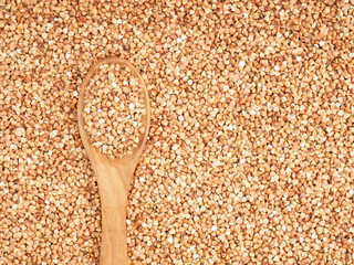 Buckwheat groats in brown wooden spoon on a buckwheat background with copy space. Healthy eating concept