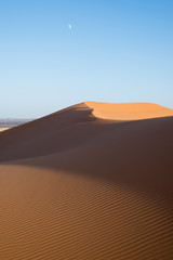 Fototapeta na wymiar Sand landscapes and dunes in the Sahara desert.