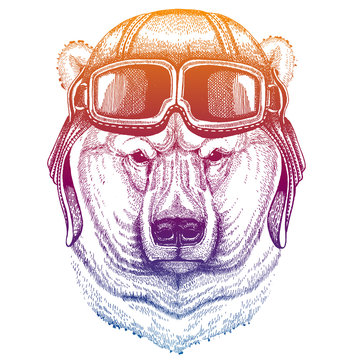 Animal wearing vintage aviator leather helmet. Image in retro style. Flying club or motorcycle biker emblem. Vector illustration, print for tee shirt, badge logo patch
