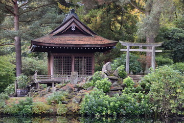 Fototapeta premium Japanese garden Autumn