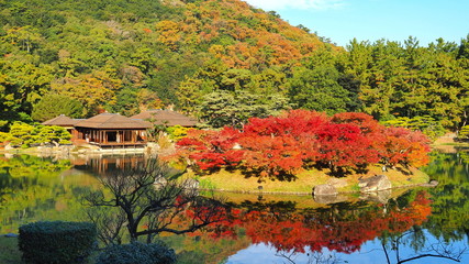 Obraz premium 紅葉の栗林公園南湖６
