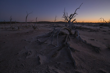 Salty Landscape