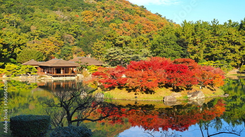 紅葉の栗林公園南湖６ Wall Mural Wallpaper Murals 泰行 川井
