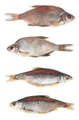 Set of tasty dry fish on white background