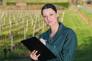 Fototapeta premium portrait of female during vineyard harvest