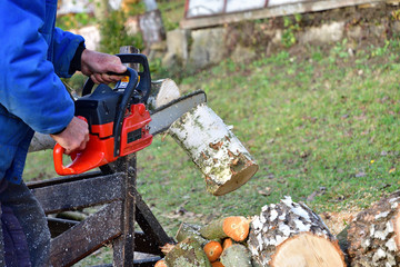 Gardener saws wood with chainsaw by hand in safety dress