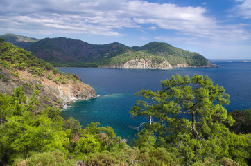 Fototapeta na wymiar Mountain vegetation on the Mediterranean coast