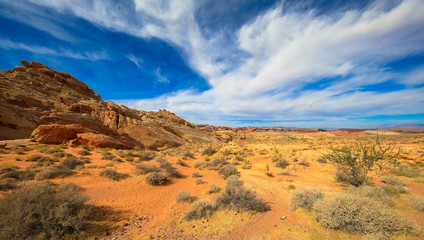 Fototapeta na wymiar Schöne Landschaft im Red Fire Nationalparks, Nevada