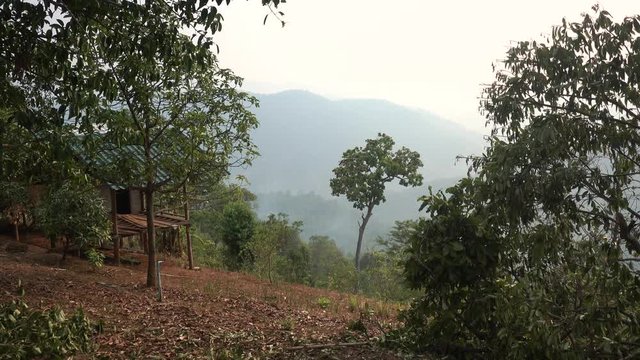 Scenery of Thai Mountains with Amazing View and Green Trees