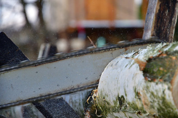 Detail of a wood sawing with chainsaw in the garden village