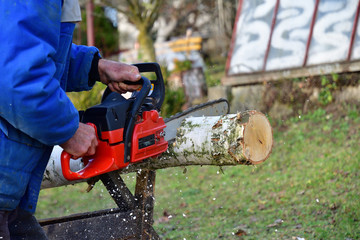 Gardener saws wood with chainsaw by hand in safety dress