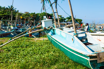 A scene of local daily fish market early morning at Sri Lanka