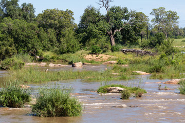 kruger river