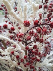 close-up of abstract, vibrant, decorative, fun, New Year's, ice, snowy postcard / billboard background