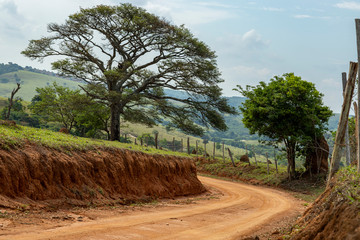Dirt road. A country path with tree