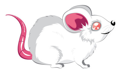 Cartoon white rat