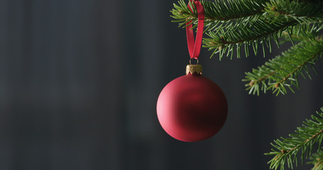 red chrismas ball on a spruce branch indoor