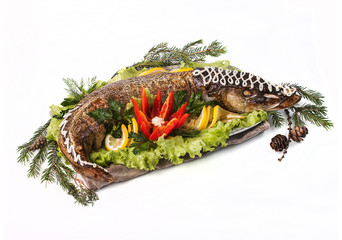 Christmas and Thanksgiving oven-baked pike fish served in a festive version with fir branches on a white background in isolation