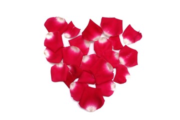 A heart sign of red rose corollas on white isolated background with copy space 