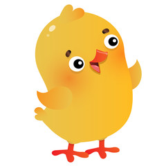 Color image of cartoon chick on white background. Farm animals. Vector illustration for kids.