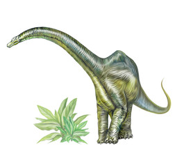 dinosaur brontosaurus © Liliya