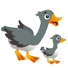 Color image of cartoon goose with gosling on white background. Farm animals. Vector illustration for kids.