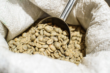 Green coffee beans in a bag in a cozy coffee shop