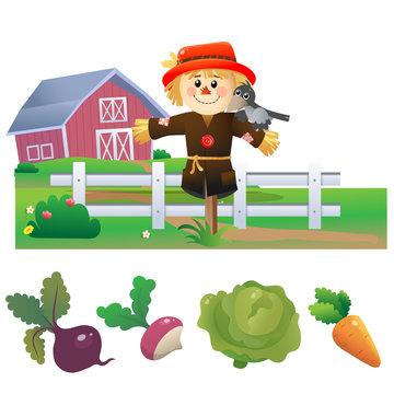 Color images of cartoon stuffed or scarecrow with harvest on white background. Vegetable garden. Vector illustration set for kids.
