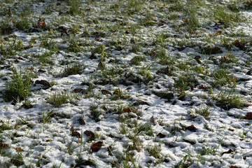 Texture of snow, leaves and grass
