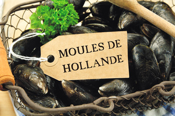 basket of raw mussels with a label or it is noted in French "moules de hollande"